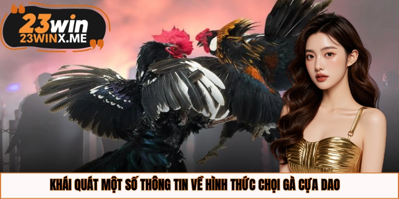 Khái quát một số thông tin về hình thức chọi gà cựa dao