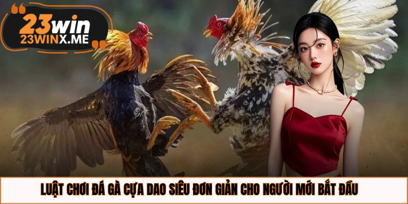 Luật chơi đá gà cựa dao siêu đơn giản cho người mới bắt đầu